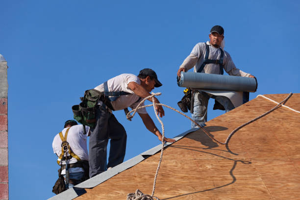 Sealant for Roof in Warren Af, WY